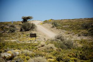 Parque Nacional Monte León, un refugio natural para la biodiversidad