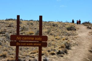 Parque Nacional Monte León, un refugio natural para la biodiversidad