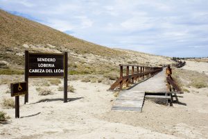 Parque Nacional Monte León, un refugio natural para la biodiversidad