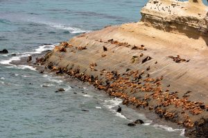 Parque Nacional Monte León, un refugio natural para la biodiversidad