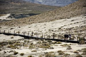 Parque Nacional Monte León, un refugio natural para la biodiversidad