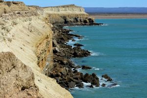 Parque Interjurisdiccional Marino Makenke: una escala imperdible por las riquezas marinas de la Patagonia