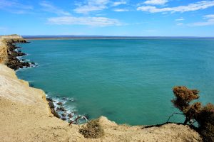 Parque Interjurisdiccional Marino Makenke: una escala imperdible por las riquezas marinas de la Patagonia