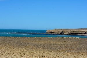 Parque Interjurisdiccional Marino Makenke: una escala imperdible por las riquezas marinas de la Patagonia