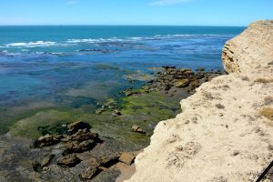 Parque Interjurisdiccional Marino Makenke: una escala imperdible por las riquezas marinas de la Patagonia