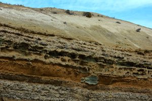Parque Interjurisdiccional Marino Makenke: una escala imperdible por las riquezas marinas de la Patagonia