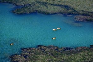 Parque Interjurisdiccional Marino Makenke: una escala imperdible por las riquezas marinas de la Patagonia