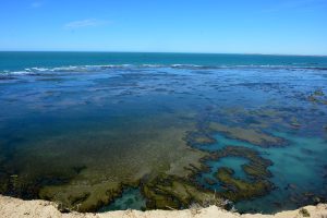 Parque Interjurisdiccional Marino Makenke: una escala imperdible por las riquezas marinas de la Patagonia