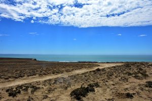 Parque Interjurisdiccional Marino Makenke: una escala imperdible por las riquezas marinas de la Patagonia