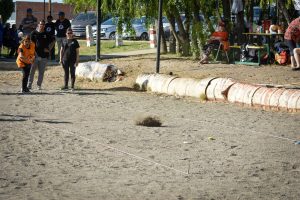 Destacan la importancia de las fiestas populares en Santa Cruz