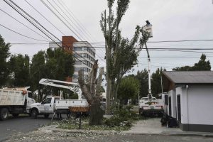 Continúan las tareas de reparación de tendido eléctrico en el centro de Río Gallegos