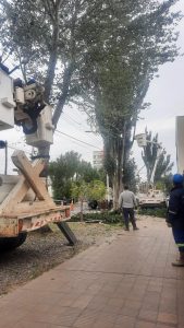 Continúan las tareas de reparación de tendido eléctrico en el centro de Río Gallegos