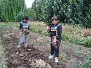 Dieron inicio a las actividades en la Escuela Agropecuaria de Gobernador Gregores