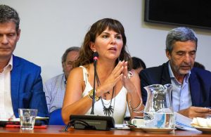 Cámara de Diputados de la Nación: El Gobierno expuso detalles del desarrollo minero de Santa Cruz