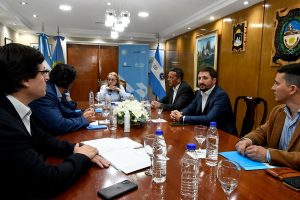 Alicia recibió en audiencia a autoridades de Vialidad Nacional