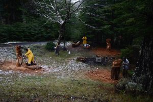 3° Festival Regional de la Lenga: se vive a pleno en la Cuenca Carbonífera