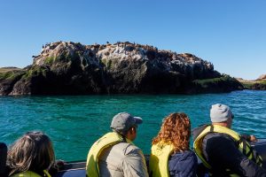 Deseado: Popurrí de bellezas naturales con notas históricas y una biodiversidad que invitan a la aventura