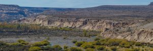 El Parque Nacional Patagonia según los turistas que lo visitan