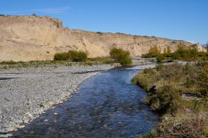 La otra cara del Parque Nacional Patagonia: así es la experiencia del voluntariado