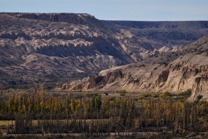 La otra cara del Parque Nacional Patagonia: así es la experiencia del voluntariado