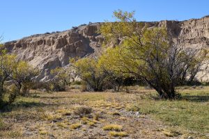 La otra cara del Parque Nacional Patagonia: así es la experiencia del voluntariado