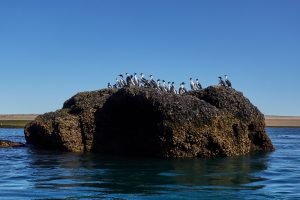 PreViaje 5: todavía estás a tiempo de ser parte de la quinta edición y elegir a Santa Cruz como destino