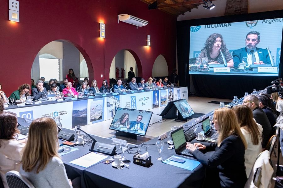 Santa Cruz participó del Consejo Federal de Salud en Tucumán