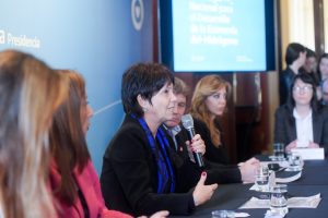 Santa Cruz participó de la presentación de la Estrategia Nacional del Hidrógeno