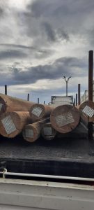 Arribaron materiales para avanzar en el tendido eléctrico hacia Monte León