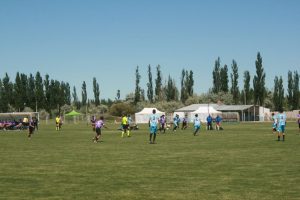 Juegos de la Araucanía: Santa Cruz suma medallas y busca posicionarse en el podio patagónico