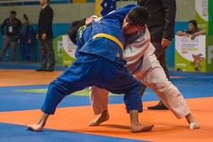 Juegos de la Araucanía: Santa Cruz suma medallas y busca posicionarse en el podio patagónico