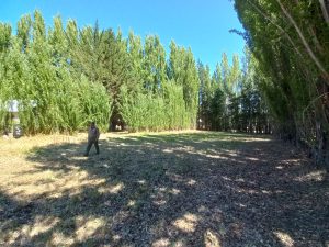 El Consejo Agrario Provincial relevó delegaciones del interior  de Santa Cruz