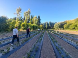 El Consejo Agrario Provincial relevó delegaciones del interior  de Santa Cruz