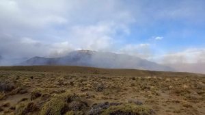 Se declaró extinguido el incendio de la Estancia Santa Margarita