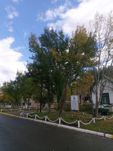 28 de Noviembre: Servicios Públicos instala luminaria en Rospentek Aike