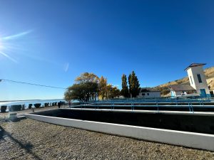 SPSE: Realizaron diferentes capacitaciones en Puerto Santa Cruz