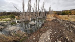 Servicios Públicos concretó relevamiento en Los Antiguos