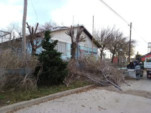 Servicios Públicos realizó tareas de mantenimiento en localidades de Santa Cruz
