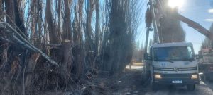 Servicios Públicos concretó tareas de mantenimiento en Puerto Santa Cruz, Pico Truncado, 28 de Noviembre y Los Antiguos