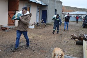 El Consejo Agrario Provincial entregó forraje a pequeños productores en chacras de Piedra Buena