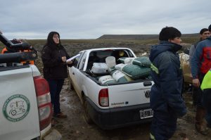 El Consejo Agrario Provincial entregó forraje a pequeños productores en chacras de Piedra Buena