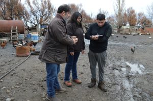 El Consejo Agrario Provincial entregó forraje a pequeños productores en chacras de Piedra Buena