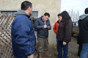 El Consejo Agrario Provincial entregó forraje a pequeños productores en chacras de Piedra Buena