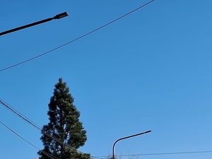 Servicios Públicos realiza tareas de mantenimiento en diferentes localidades