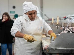Vidal: “La Provincia cambió la mirada respecto de la producción y la generación de empleo”