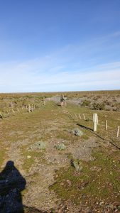 El Consejo Agrario Provincial comienza con la puesta en valor de la Reserva Cabo Vírgenes