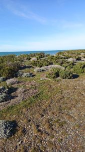 El Consejo Agrario Provincial comienza con la puesta en valor de la Reserva Cabo Vírgenes