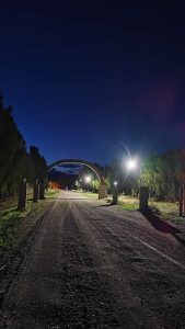 Servicios Públicos efectuó instalación de luminaria LED en Lago Posadas