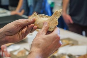 Santa Cruz participó en jornadas para la protección del patrimonio arqueológico y paleontológico
