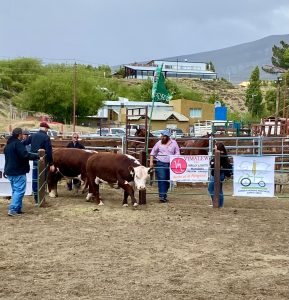 El Consejo Agrario Provincial estuvo presente en la 49ª Feria Ganadera Bovina de Santa Cruz
